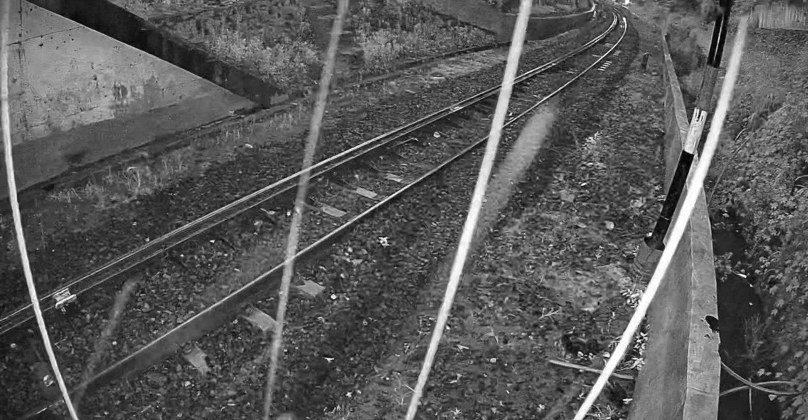 2026-05-06 05:49:34.jpg